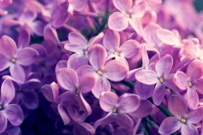 开云注册-“2025世界运动会：高新体育中心羽毛球赛激烈异常”