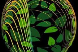 开云体育登陆入口-英超球队在不同气候环境下跑动分布与热区变化对比研究，英超球队对应城市