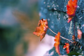 开云·体育官方网站入口-体育新闻中心发布体育新闻传播伦理指导原则，新闻传播伦理规范的主要内容