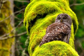 开云全站-中超联赛设置青年观察席位鼓励球迷理性观赛，中超球队青训