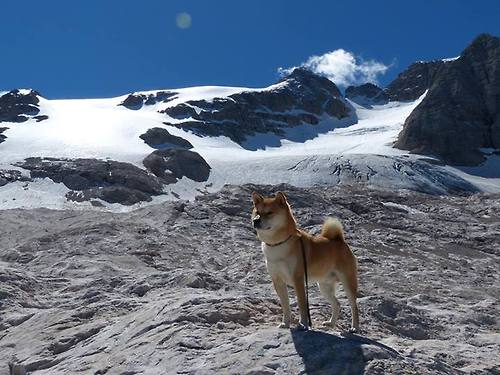 中国三人篮球探索混合打法 提升应变能力，三人篮球中国队