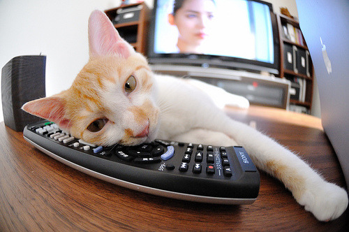 体育纪录片热播引发全民健身热情,很好看的体育纪录片