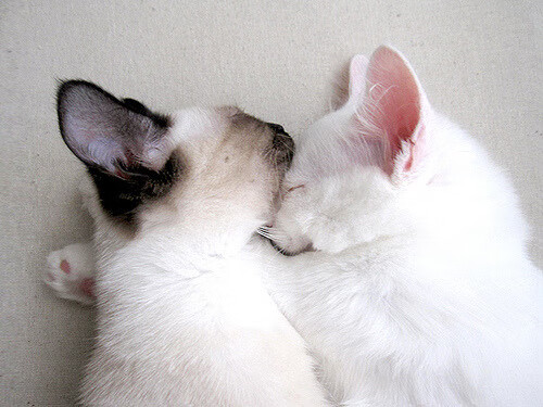 体育纪录片热播引发全民健身热情,很好看的体育纪录片