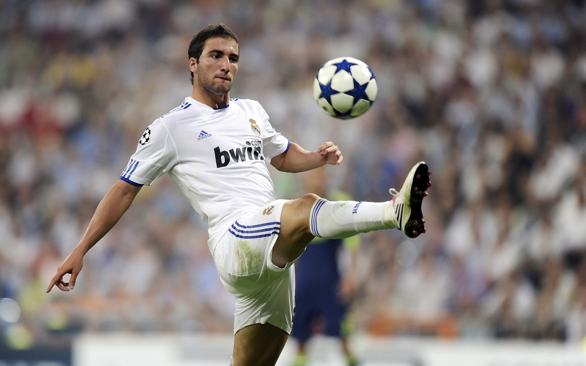 开云官方入口-一代神锋亲身指导！范佩西率费耶诺德领跑荷甲，上田绮世11场轰13球